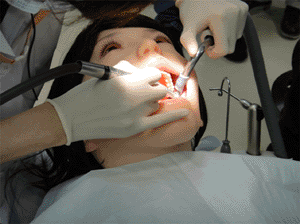 Image: The Showa Hanako 2 robotic dental patient (Photo courtesy of Showa University).